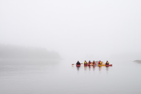 Kindvriendelijke Vakantie Zweden Denemarken Oscar Kayaks In The Fog Anders Tedeholm Imagebank Sweden Se