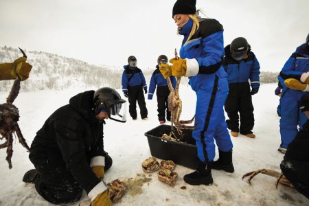 Kirkenes Sneeuwhotel Reis Vega Kingkrabvissen