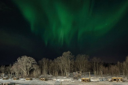 Kirkenes Sneeuwhotel Reis Vega Noorderlicht Hondenkennel