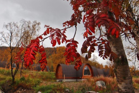 Kirkenes Sneeuwhotel Snowhotel Gamme Cabin 3