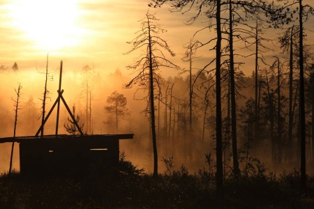 Kuhmo Wild Brown Bear Centre Hide 1