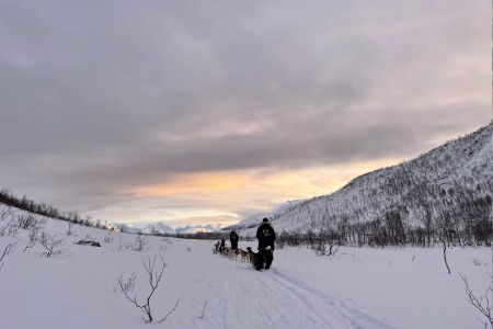 Kvaloya Husky Hondensledetocht 4