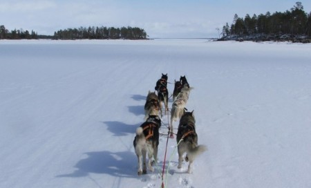 Lapland Reis Finland Arvid Wilderness Hotel Nellim1