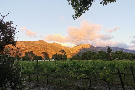 Le Manoir De Brendel Franschhoek Wine