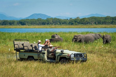 Liwonde Kuthengo Camp Robin Pope Game Drive