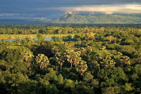 Liwonde National Park Mvuu Lodge