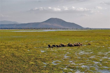 Liwonde National View Park Mvuu Lodge