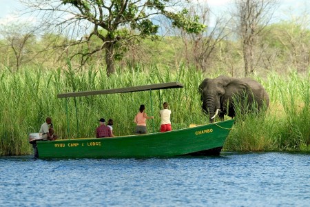 Liwonde Shire River Boat Safari Dana Allen