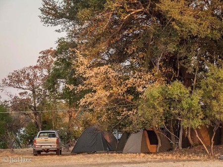 Mapunga Bush Camp Just Jane 2