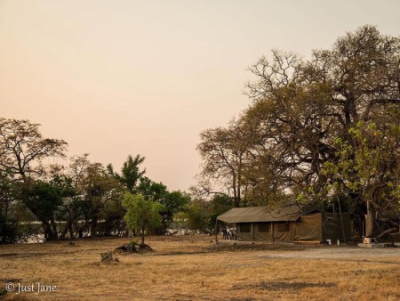 Mapunga Bush Camp Just Jane 5