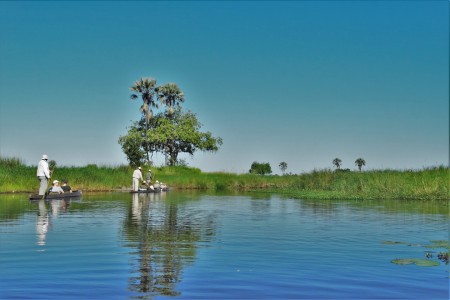 Mokoro Moremi Crossing