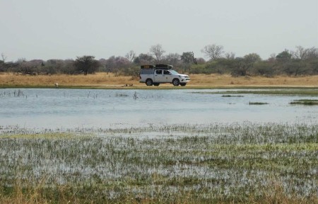 Moremi Kamperen Suid Afrika Reise