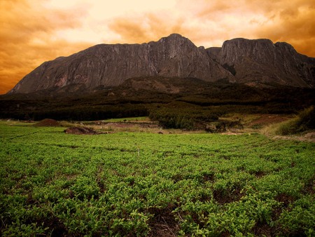 Mount Mulanje Malawi Resources Malawi Tourism 2