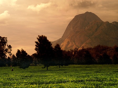 Mount Mulanje Malawi Resources Malawi Tourism 3