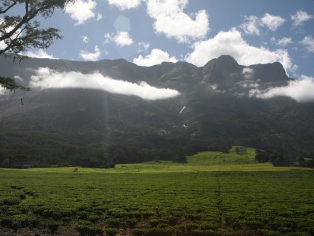 Mount Mulanje Malawi Resources Malawi Tourism 7