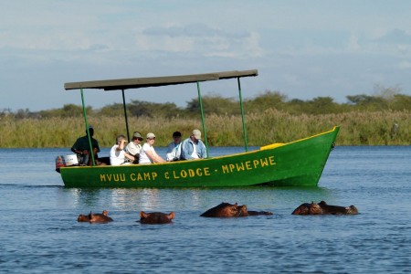 Mvuu Lodge Liwonde Dana Allen Bootsafari