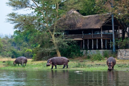 Mvuu Lodge Liwonde Deck Uitzicht