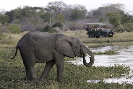 Mvuu Lodge Liwonde Game Drive