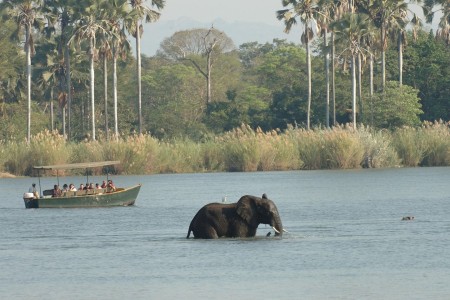 Mvuu Lodge Liwonde Shire Rivier Olifant Bootsafari