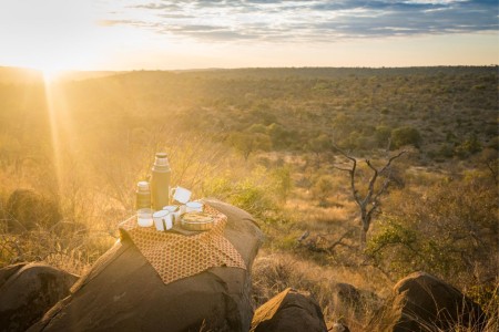 Nambu Camp Balule African Retreats Ochtend