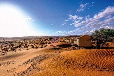 Namib Dune Star Camp