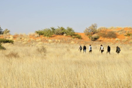 Natuurgebied Transfrontier Park