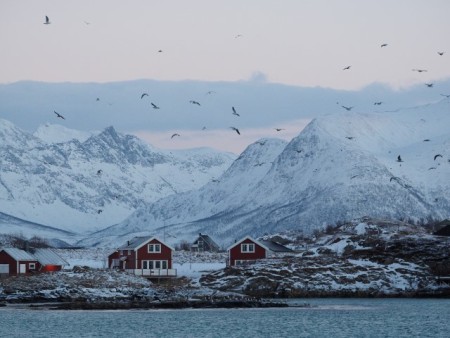 Noord Noorwegen Noorderlicht Lea Ponzle Oceanwide Expeditions