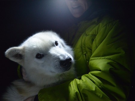 Noorderlicht Spitsbergen Winterreis Photo By Basecamp Spitsbergen 5