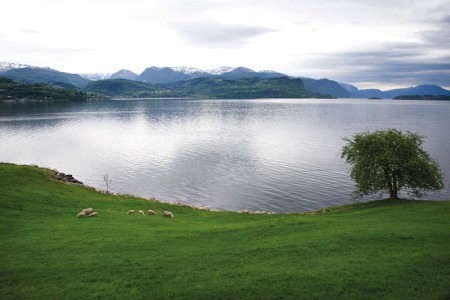 Norheimsund Oddland Camping View