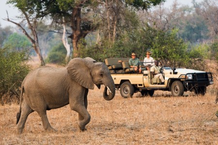 Nwkali Camp Robin Pope South Luangwa Game Drive