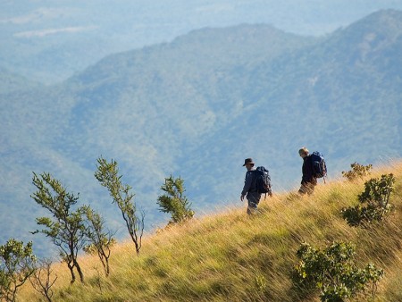 Nyika Nationaal Park Malawi Resources Malawi Tourism 12