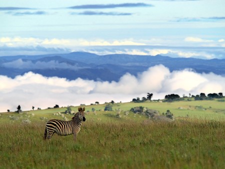 Nyika Nationaal Park Malawi Resources Malawi Tourism 14