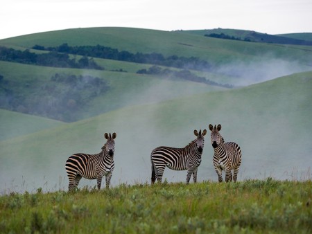 Nyika Nationaal Park Malawi Resources Malawi Tourism 17