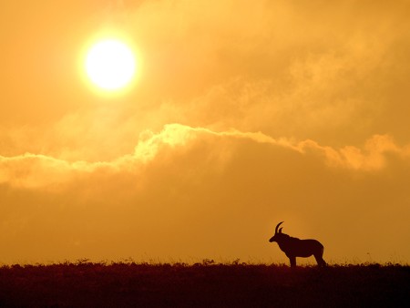 Nyika Nationaal Park Malawi Resources Malawi Tourism 18