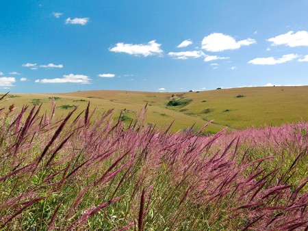 Nyika Nationaal Park Malawi Resources Malawi Tourism 2