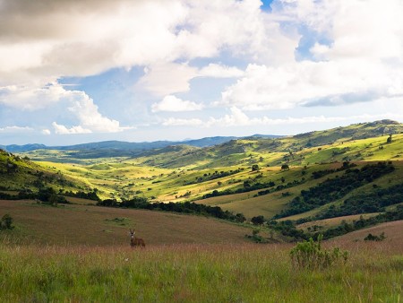 Nyika Nationaal Park Malawi Resources Malawi Tourism 5