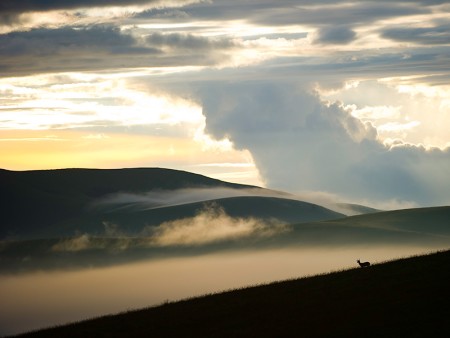 Nyika Nationaal Park Malawi Resources Malawi Tourism 6