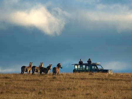 Nyika Nationaal Park Malawi Resources Malawi Tourism 7