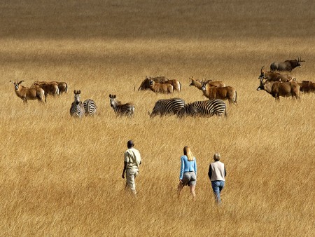 Nyika Nationaal Park Malawi Resources Malawi Tourism 9