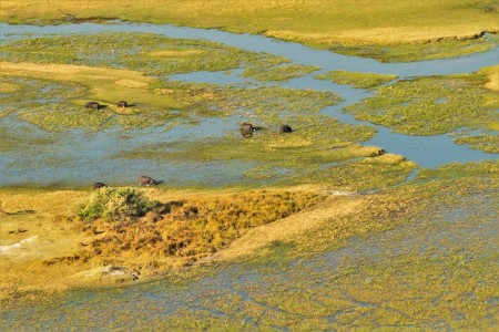 Olifanten Delta Suid Afrika Reise