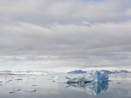 Oost Spitsbergen Diskobukta Spitsbergen 45