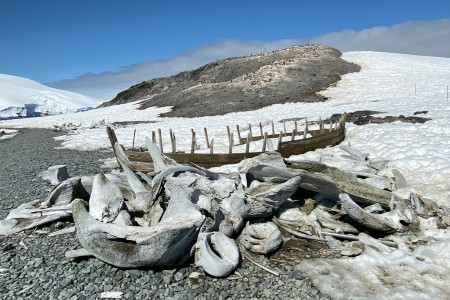 Poolexpeditie In De Antarctische Cirkel Mikkelsen Harbour Whale Bones %C2%A9 Unknown Photographer   Oceanwide Expeditions Jpg Unknown Photographer