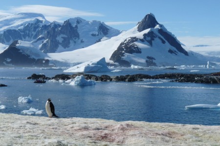 Poolexpeditie In De Antarctische Cirkel On Petermann Island %C2%A9 Ria Van Zessen   Oceanwide Expeditions Jpg Ria Van
