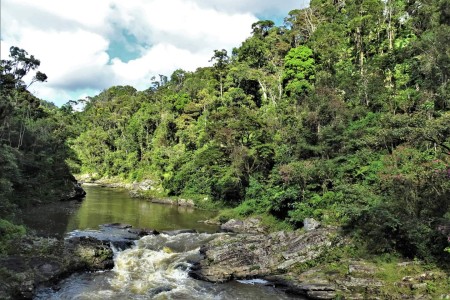 Ranomafana National Park Madagaskar Douwe Baas