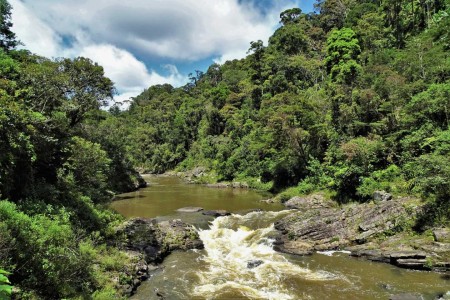 Ranomafana National Park Rachel Koorn