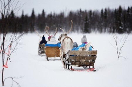 Reindeer Sleigh Ride Levi 1
