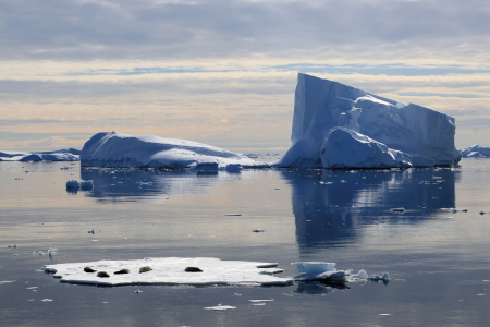 Reis Voorbij De Poolcirkel Crystal Sound %C2%A9 Luc Vanhercke   Oceanwide Expeditions Jpg Luc Vanhercke