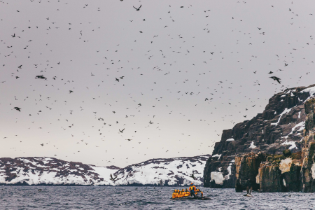 Reizen Spitsbergen QuarkExpeditions Spitsbergen In Depth Quark Expeditions Spitsbergen In Depth DavidMerronArctic2018 96