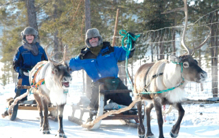 Rendiersafari Kiruna Guidetur