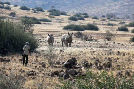 Rhino Tracking Palmwag Lodge